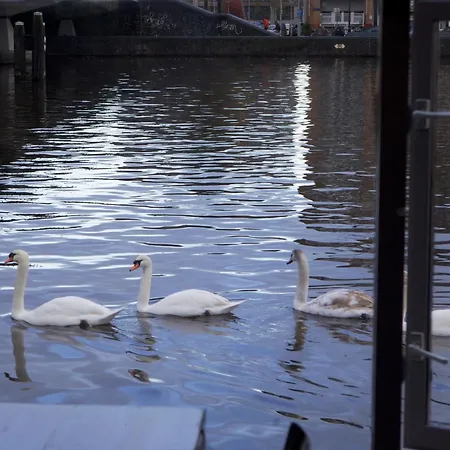 بوتيل Houseboat Little Amstel *