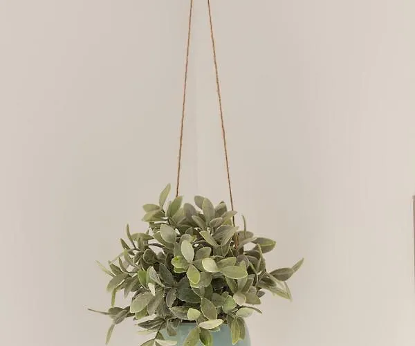 Úszó hotel Houseboat Little Amstel