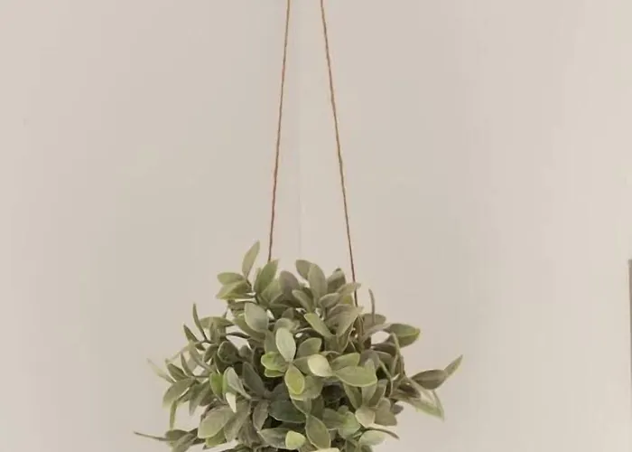 Úszó hotel Houseboat Little Amstel *